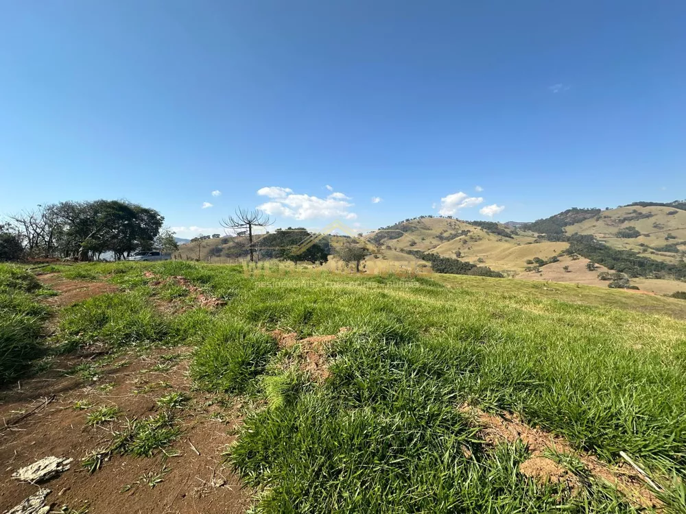 Terreno, 2 hectares - Foto 7