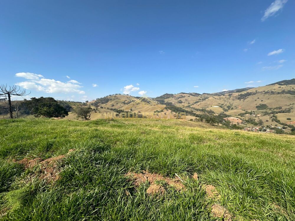 Terreno, 2 hectares - Foto 11