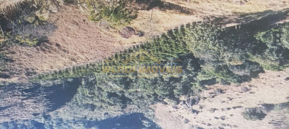 Fazenda, 32 m² - Foto 7