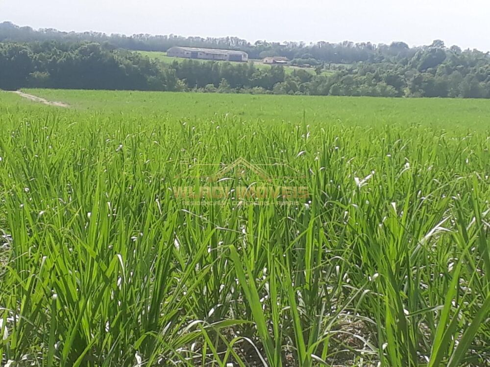 Fazenda, 120 m² - Foto 3