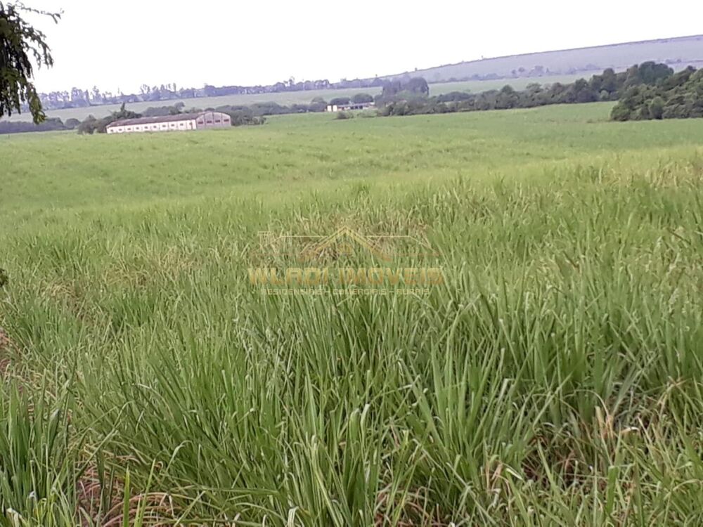 Fazenda, 120 m² - Foto 16