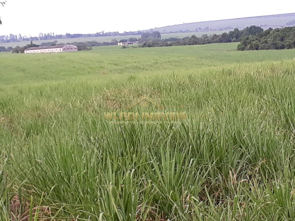 Fazenda, 120 m² - Foto 11