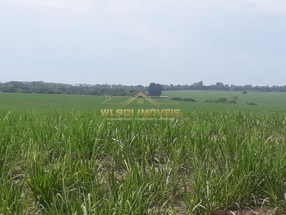 Fazenda, 120 m² - Foto 4