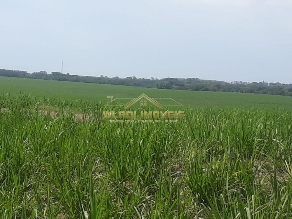 Fazenda, 120 m² - Foto 14