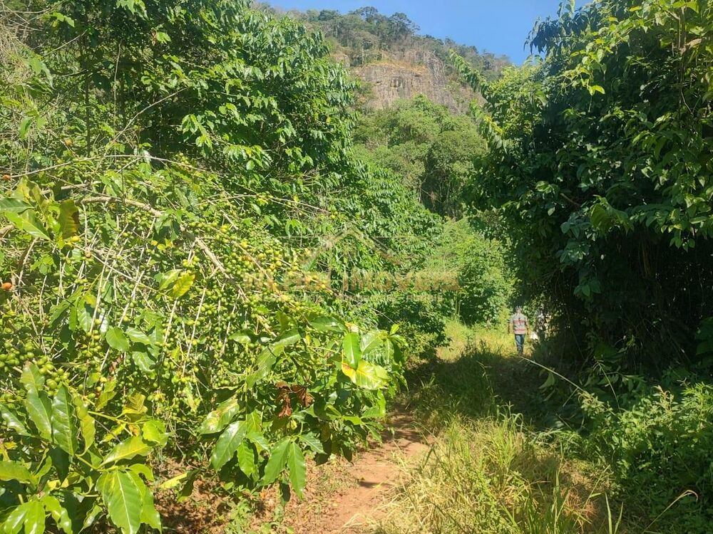 Sítio, 21 m² - Foto 7