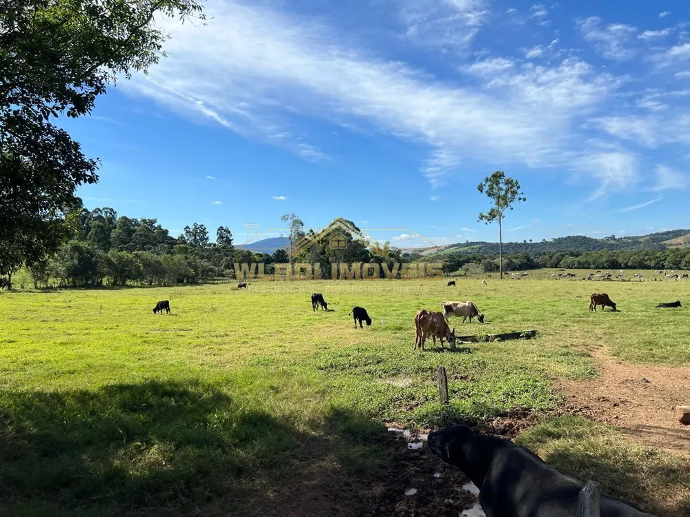 Fazenda, 169 m² - Foto 3