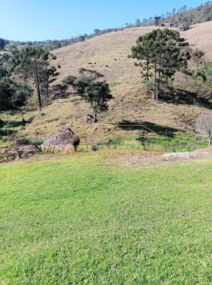 Sítio, 32 m² - Foto 11