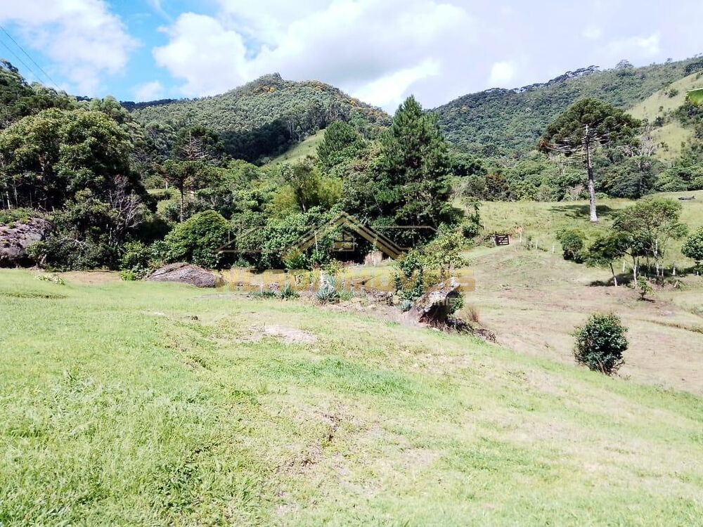 Sítio, 32 m² - Foto 4