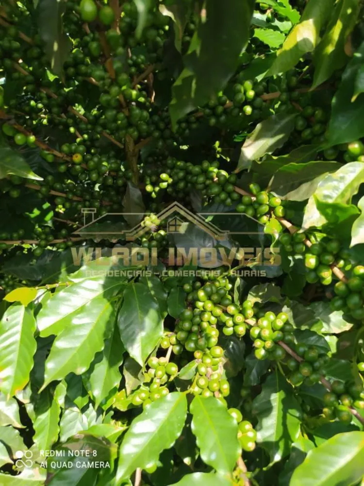 Fazenda, 136 m² - Foto 11