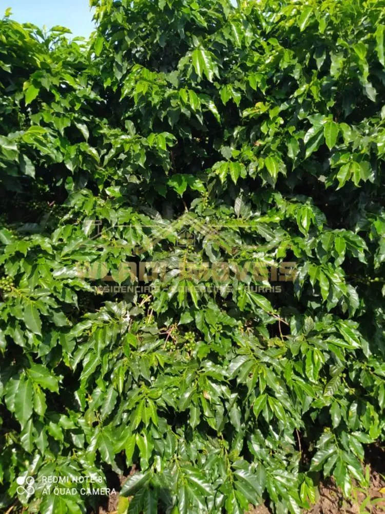 Fazenda, 136 m² - Foto 7