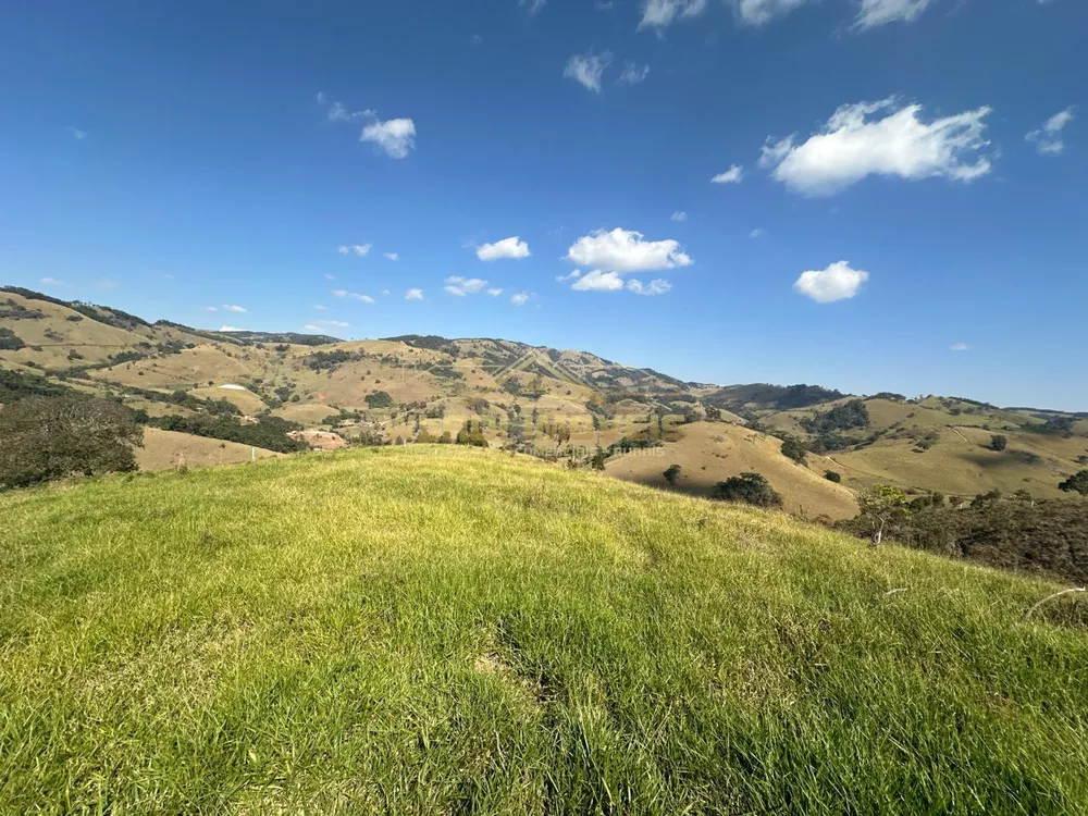 Terreno à venda, 20000m² - Foto 4