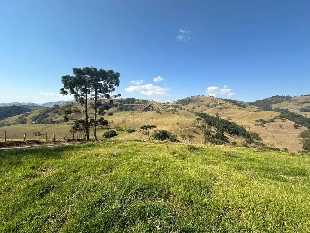 Terreno à venda, 20000m² - Foto 7