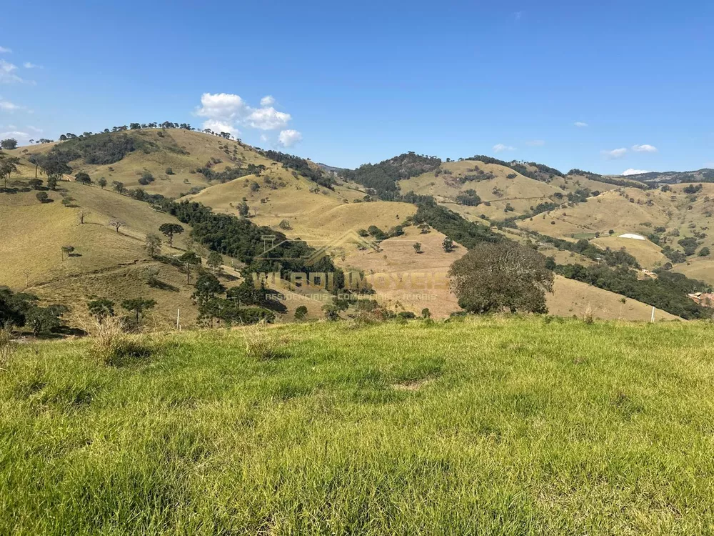 Terreno à venda, 20000m² - Foto 1