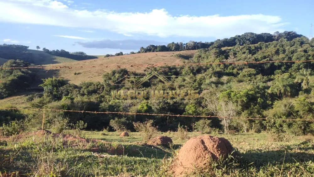Terreno, 2 hectares - Foto 4
