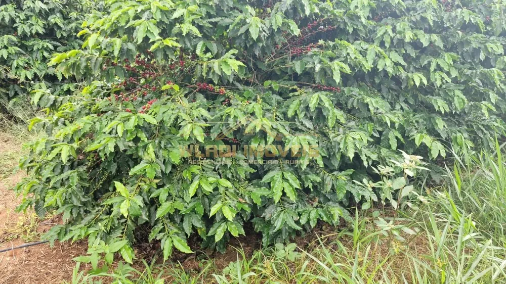 Fazenda, 177 m² - Foto 7