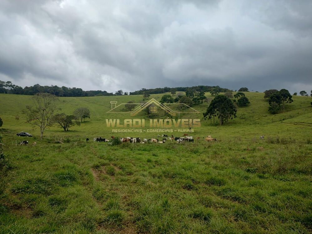 Terreno, 4 m² - Foto 1