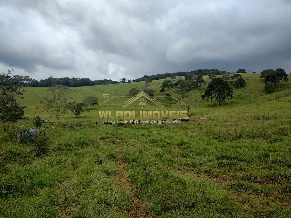 Terreno, 4 m² - Foto 6
