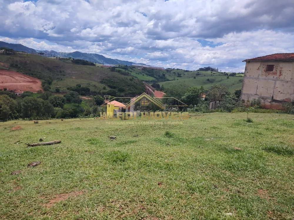 Terreno, 4 hectares - Foto 2