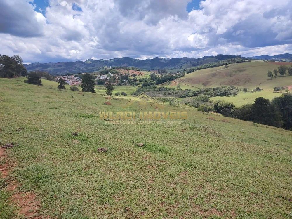 Terreno, 4 hectares - Foto 8