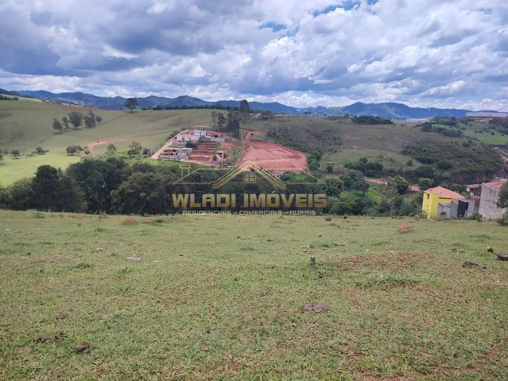 Terreno, 4 hectares - Foto 4