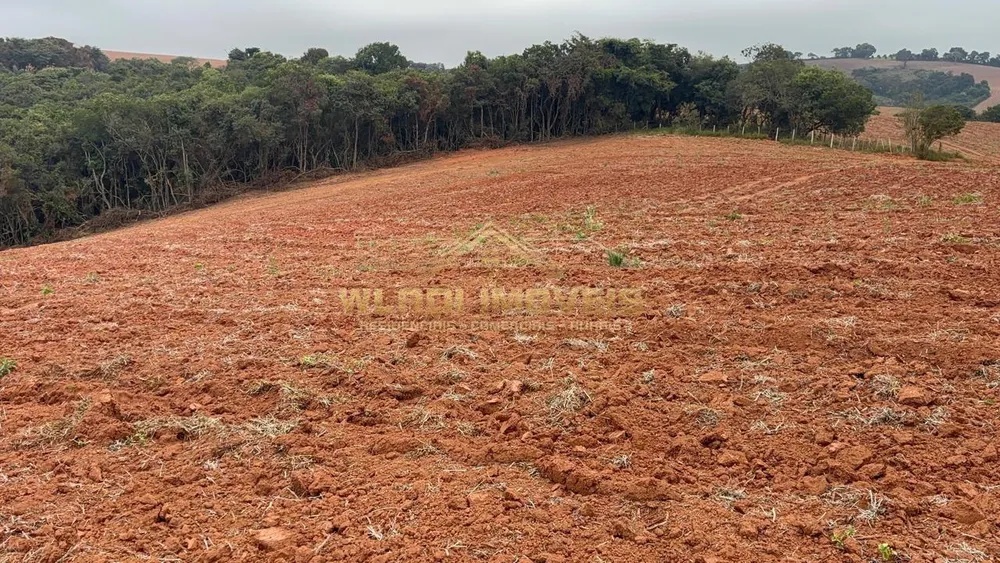 Fazenda, 45 m² - Foto 4