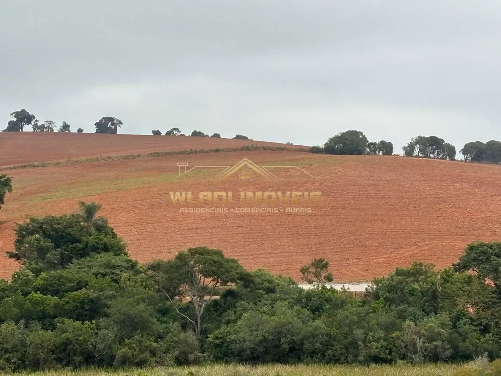 Fazenda, 45 m² - Foto 9