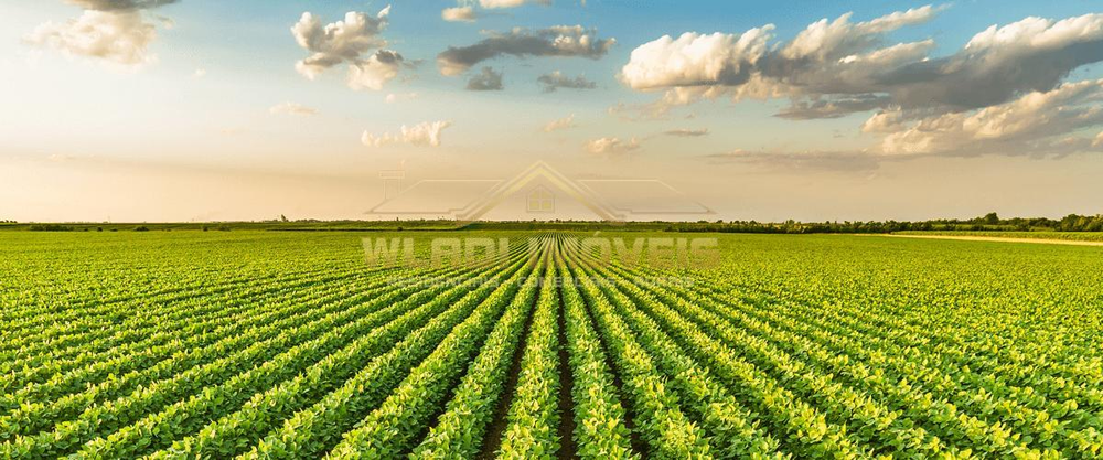 Fazenda à venda, 6300m² - Foto 1