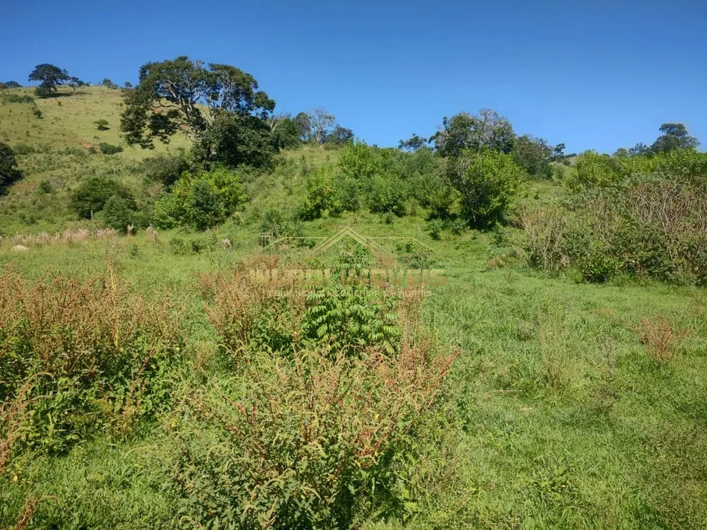 Terreno, 3 hectares - Foto 7