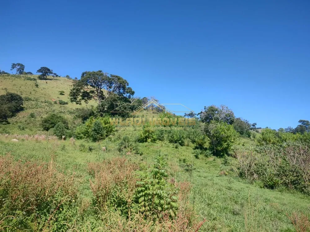 Terreno, 3 hectares - Foto 17
