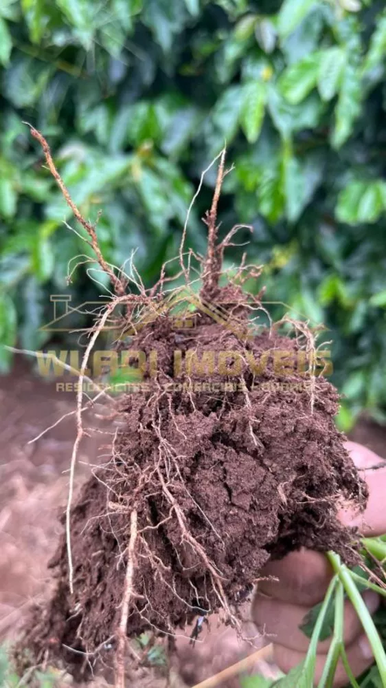 Fazenda, 430 m² - Foto 7