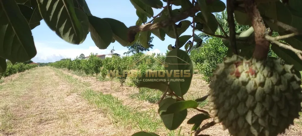Fazenda, 64 m² - Foto 3