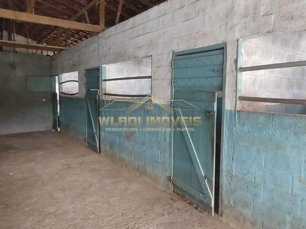 Sítio, 3 hectares - Foto 9