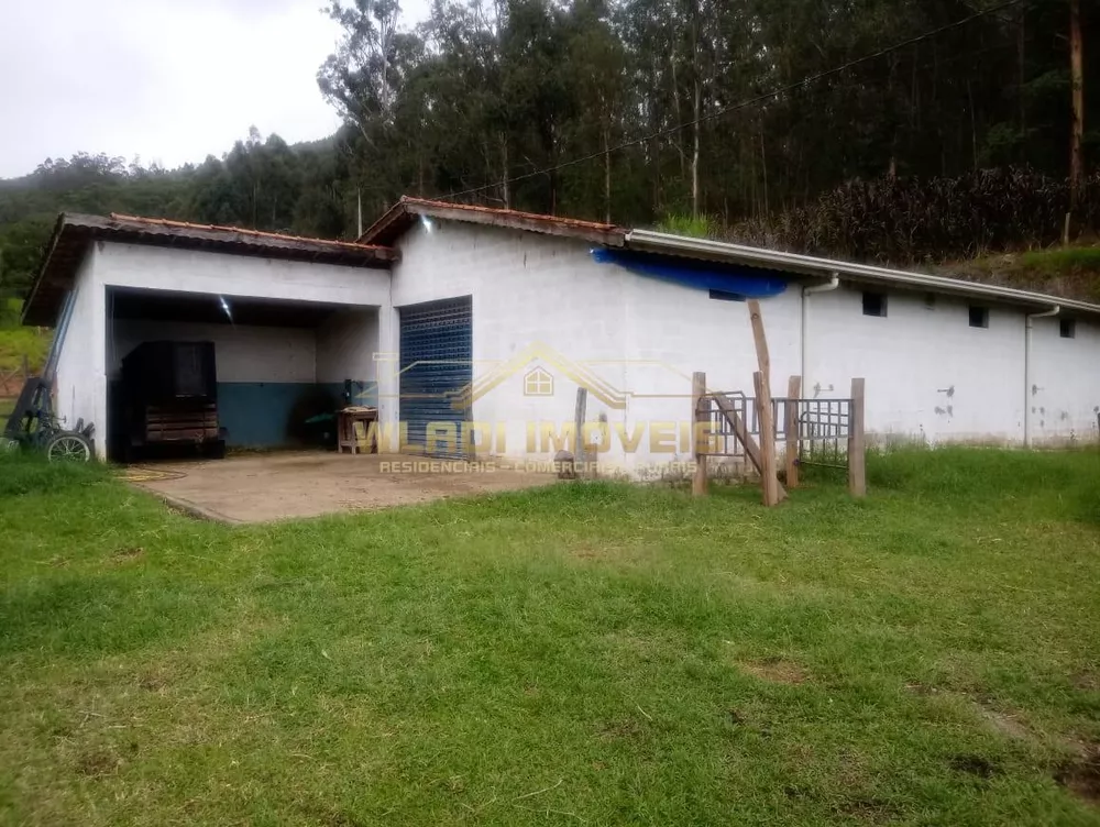 Sítio, 3 hectares - Foto 12