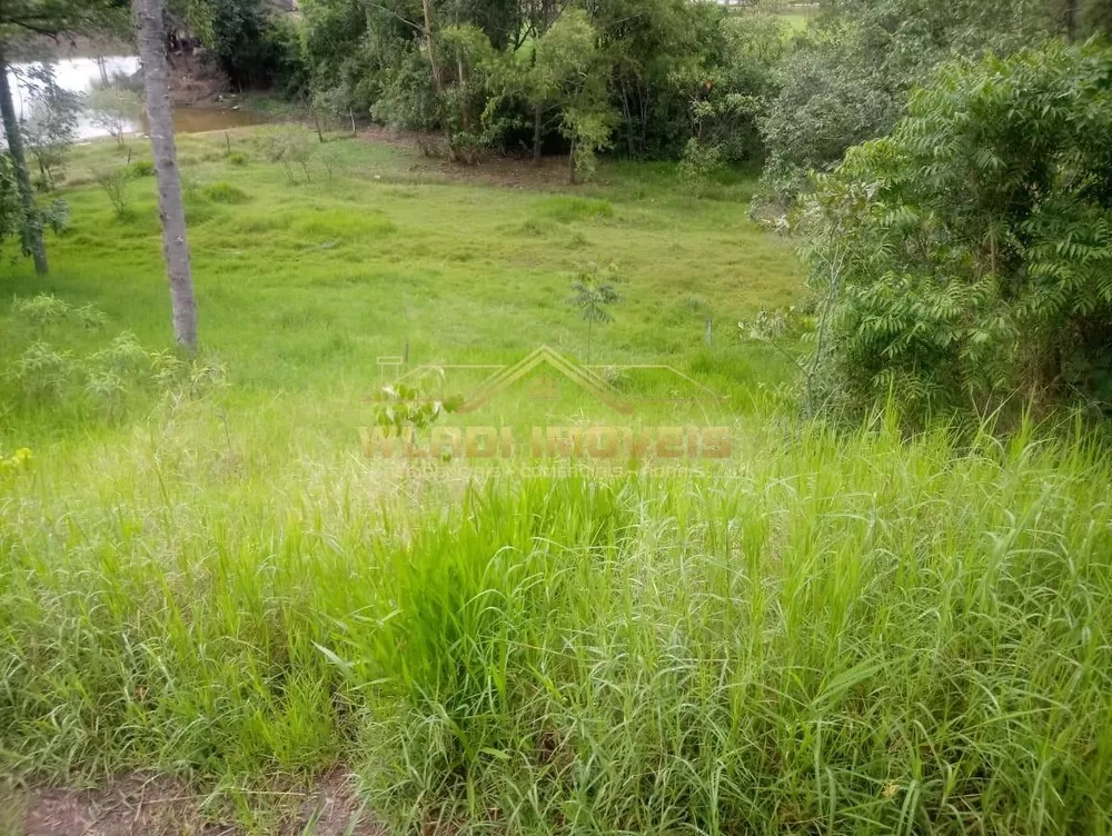 Sítio, 3 hectares - Foto 32