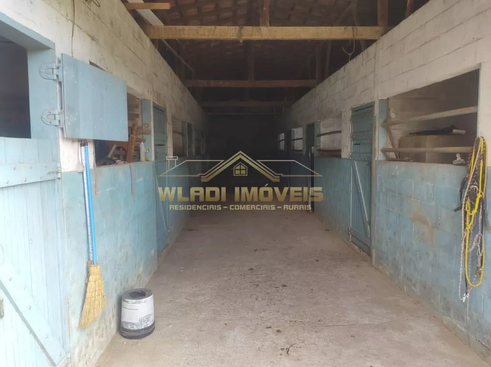 Sítio, 3 hectares - Foto 11