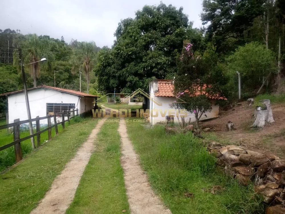 Sítio, 3 hectares - Foto 29