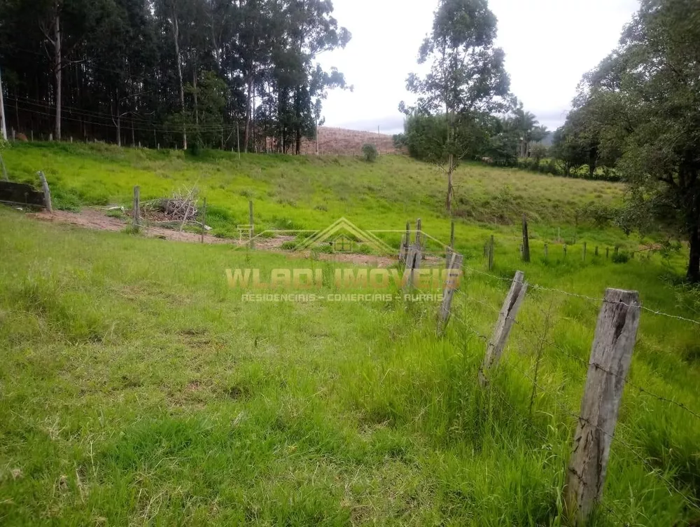 Sítio, 3 hectares - Foto 37