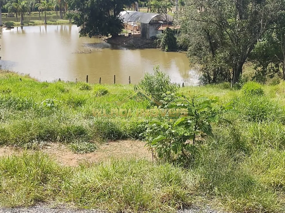 Sítio, 3 hectares - Foto 3