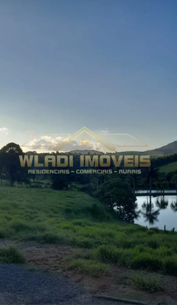 Sítio, 3 hectares - Foto 40