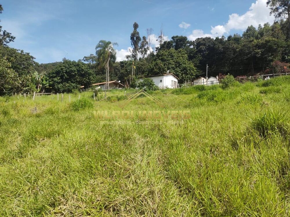 Sítio, 3 hectares - Foto 17