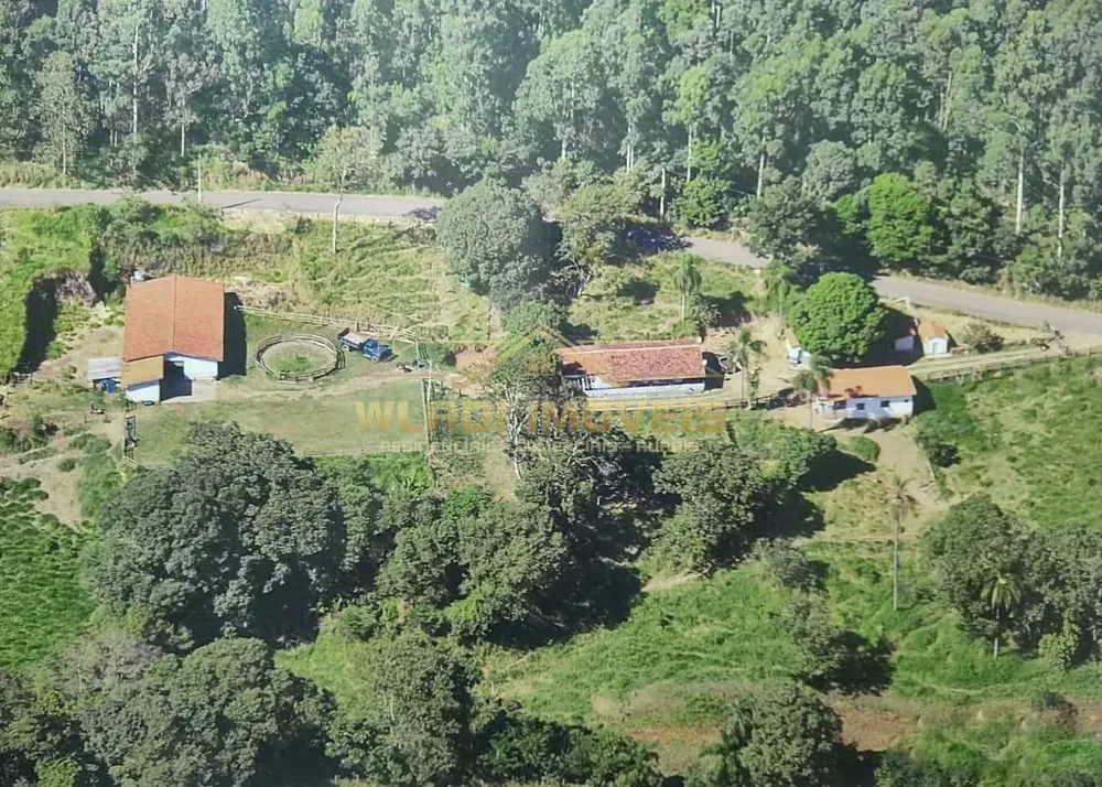 Sítio, 3 hectares - Foto 1