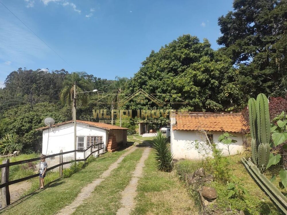 Sítio, 3 hectares - Foto 19