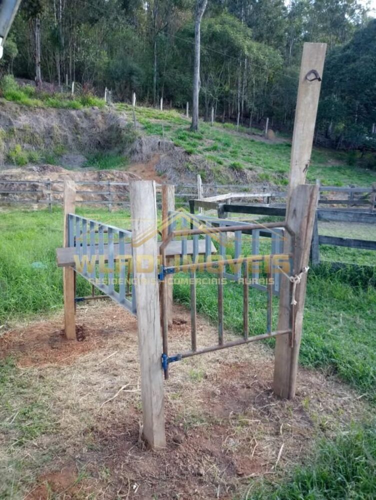 Sítio, 3 hectares - Foto 5