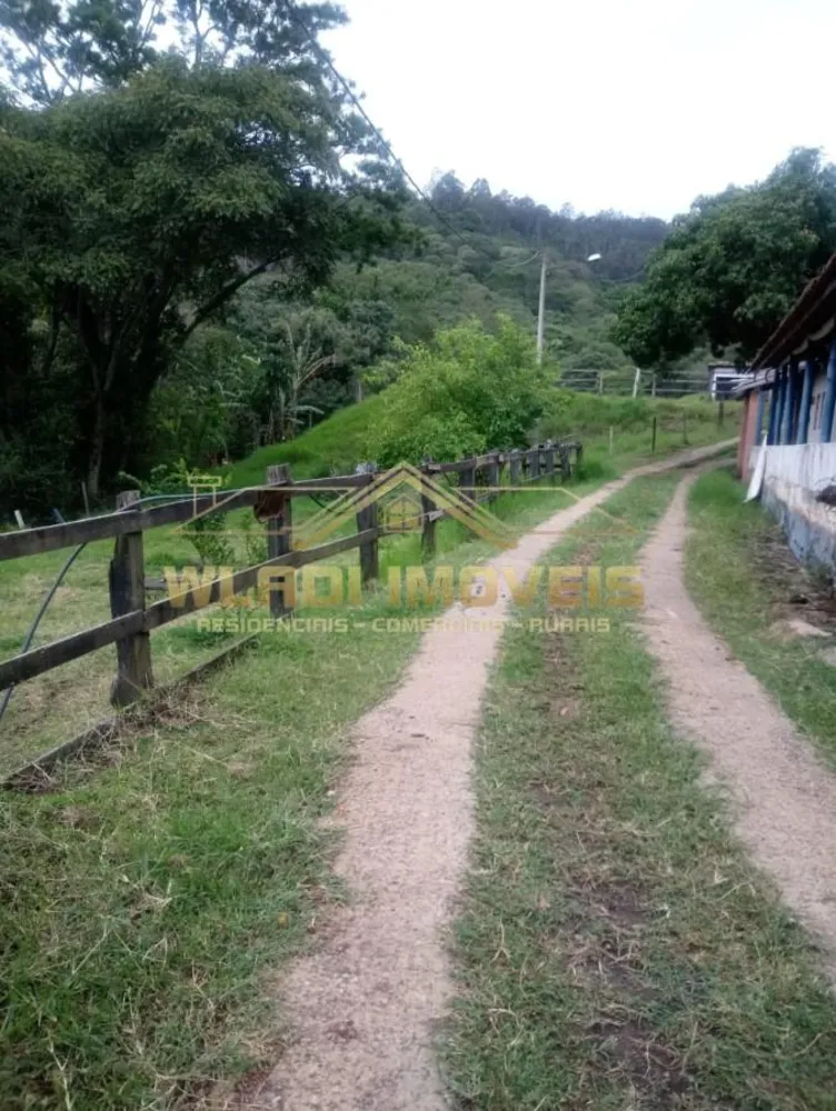 Sítio, 3 hectares - Foto 41