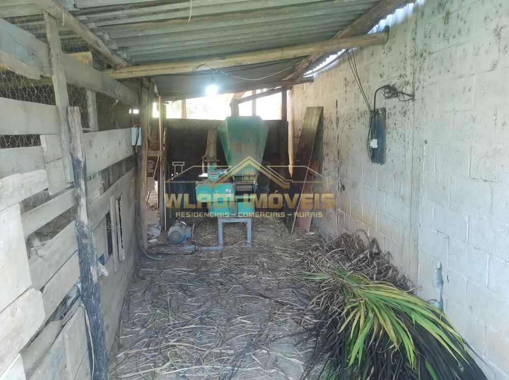 Sítio, 3 hectares - Foto 20