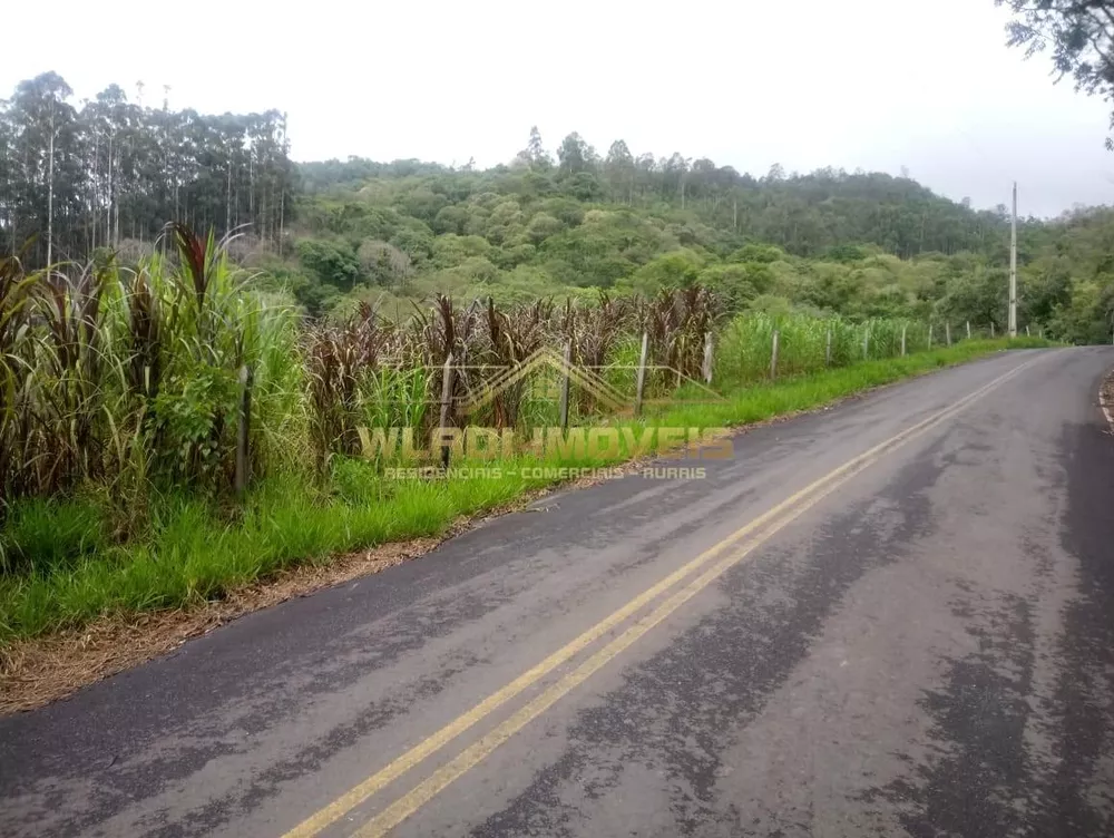 Sítio, 3 hectares - Foto 34