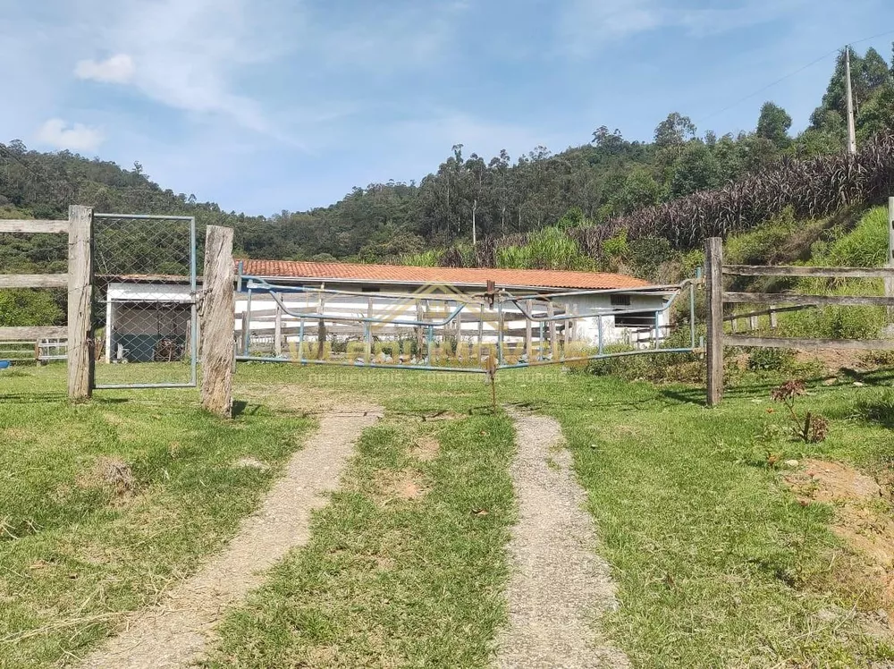 Sítio, 3 hectares - Foto 14