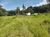 Sítio, 3 hectares - Foto 3
