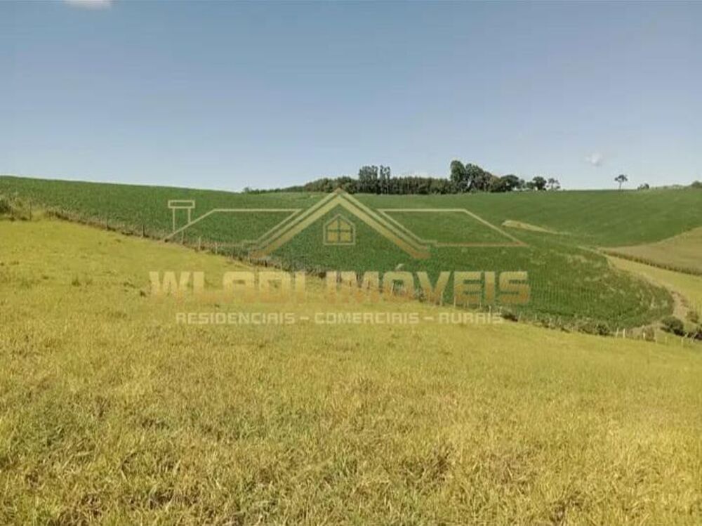 Sítio, 17 m² - Foto 7