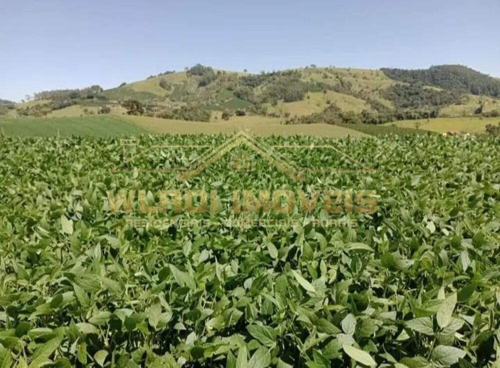 Sítio, 17 m² - Foto 3